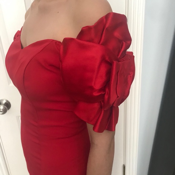 Vintage Valentines Cherry Red Dress - Picture 3 of 9